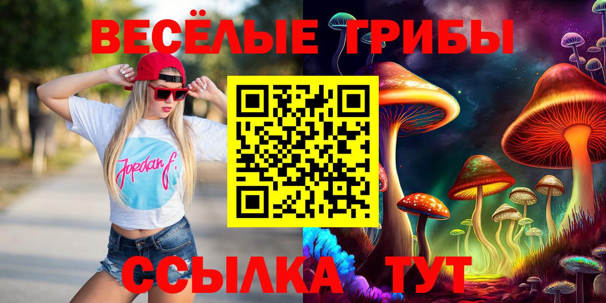 Дзержинский  Галлюциногенные грибы Psilocybe  Вход с VPN  Галлюциногенные грибы GOLDEN TEACHER 