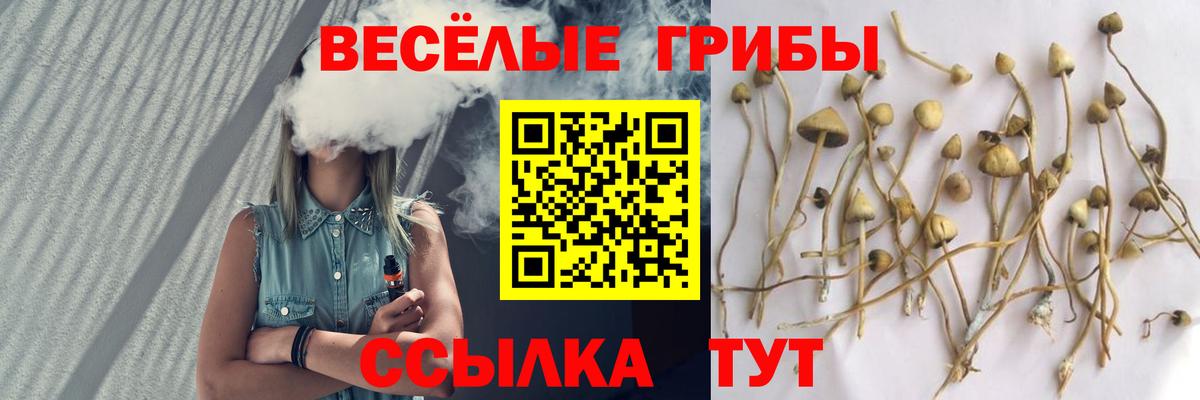 Псилоцибиновые грибы MAGIC MUSHROOMS Дзержинский